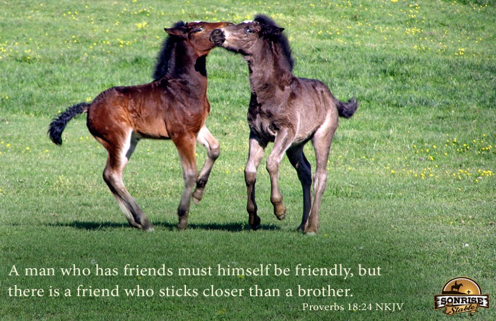a friend who sticks closer than a brother