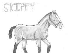 skippy drawing
