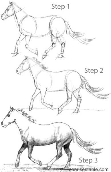 drawing horses canter