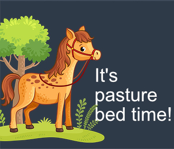 pasture bedtime
